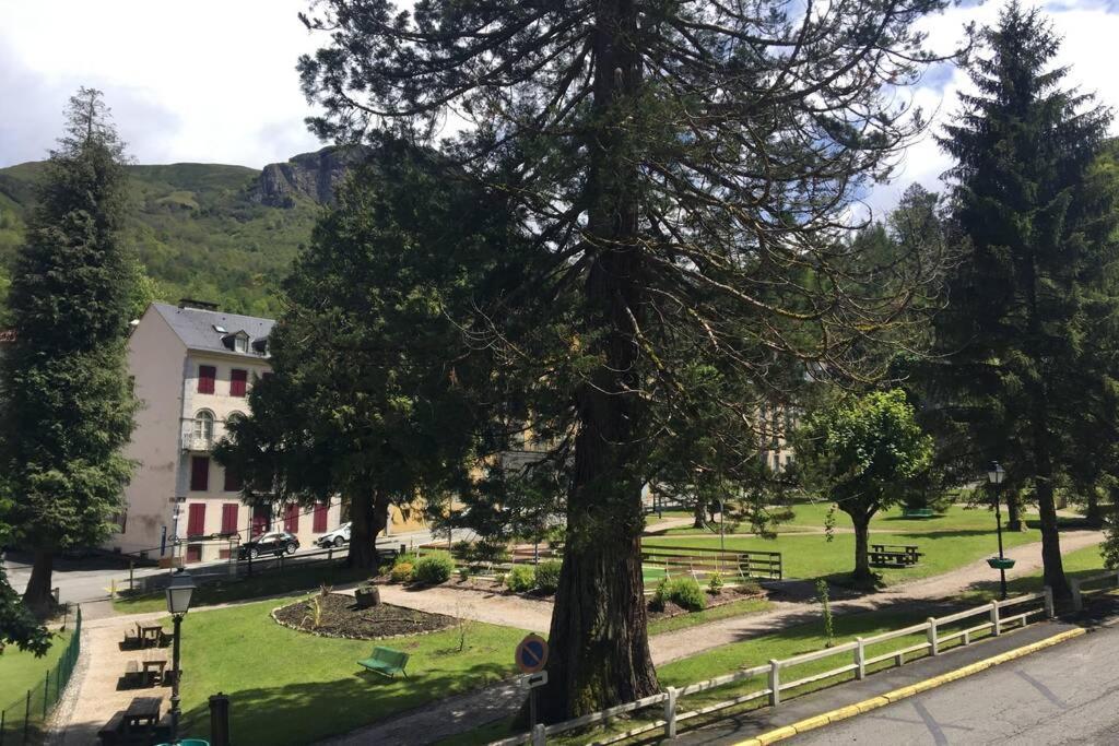 Cocon De La Vallee D'Ossau , Veritable Havre De Paix - 4 A 6 Pers Eaux-Bonnes Dış mekan fotoğraf